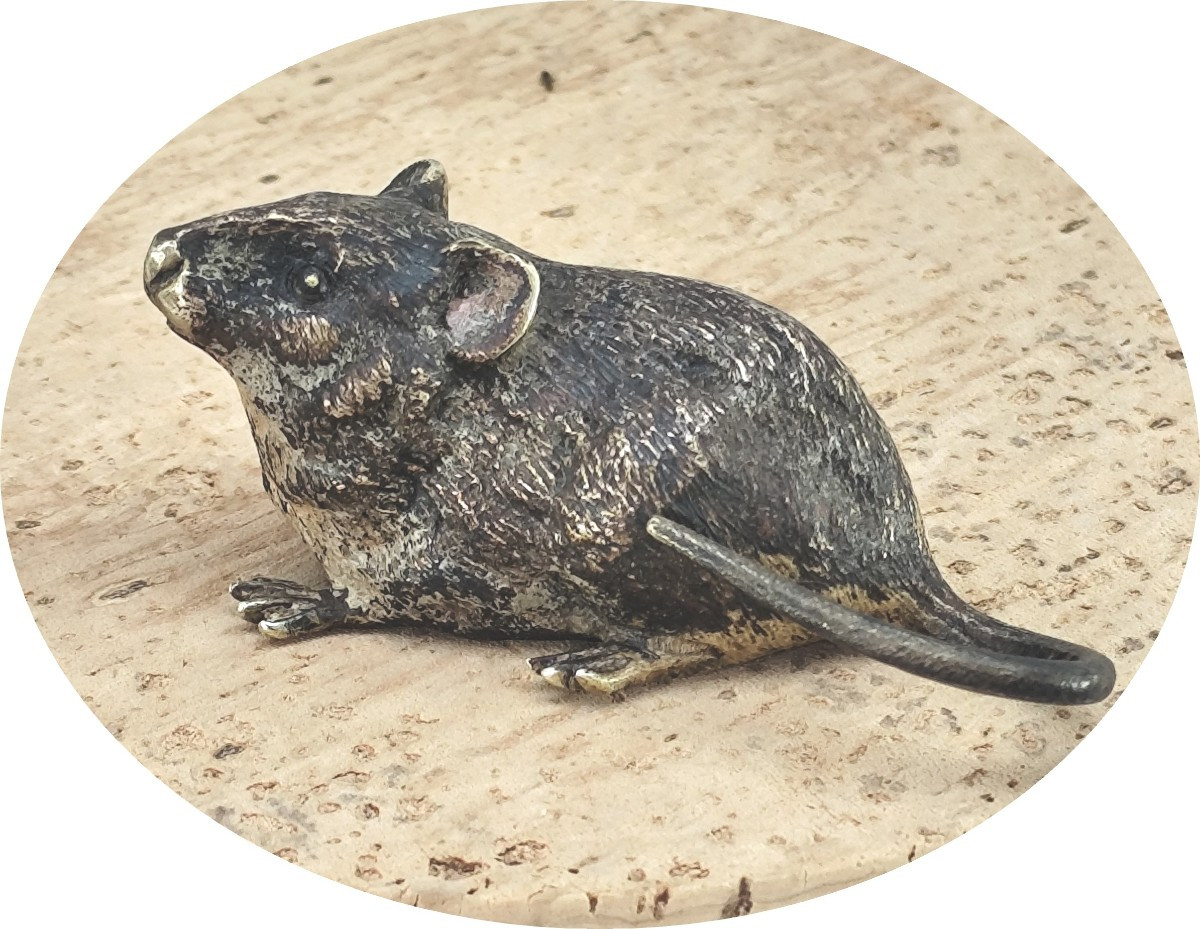 Petite souris Bronze de Vienne, marqué (Geschutzt), 19e siècle-photo-4