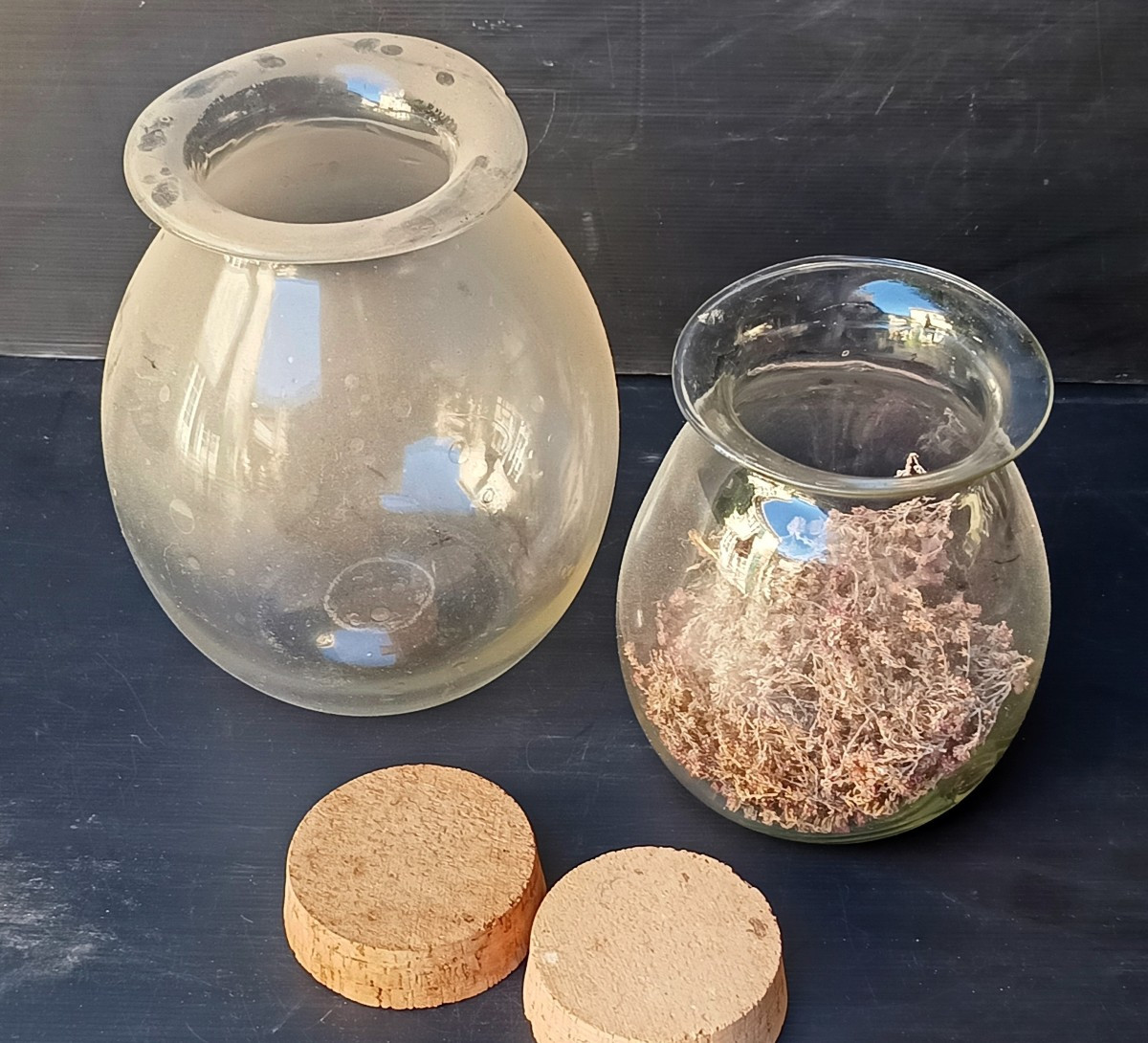 Jolis bocaux de verre soufflé en forme de jarres, 19e siècle, Herboriste, bel état-photo-2