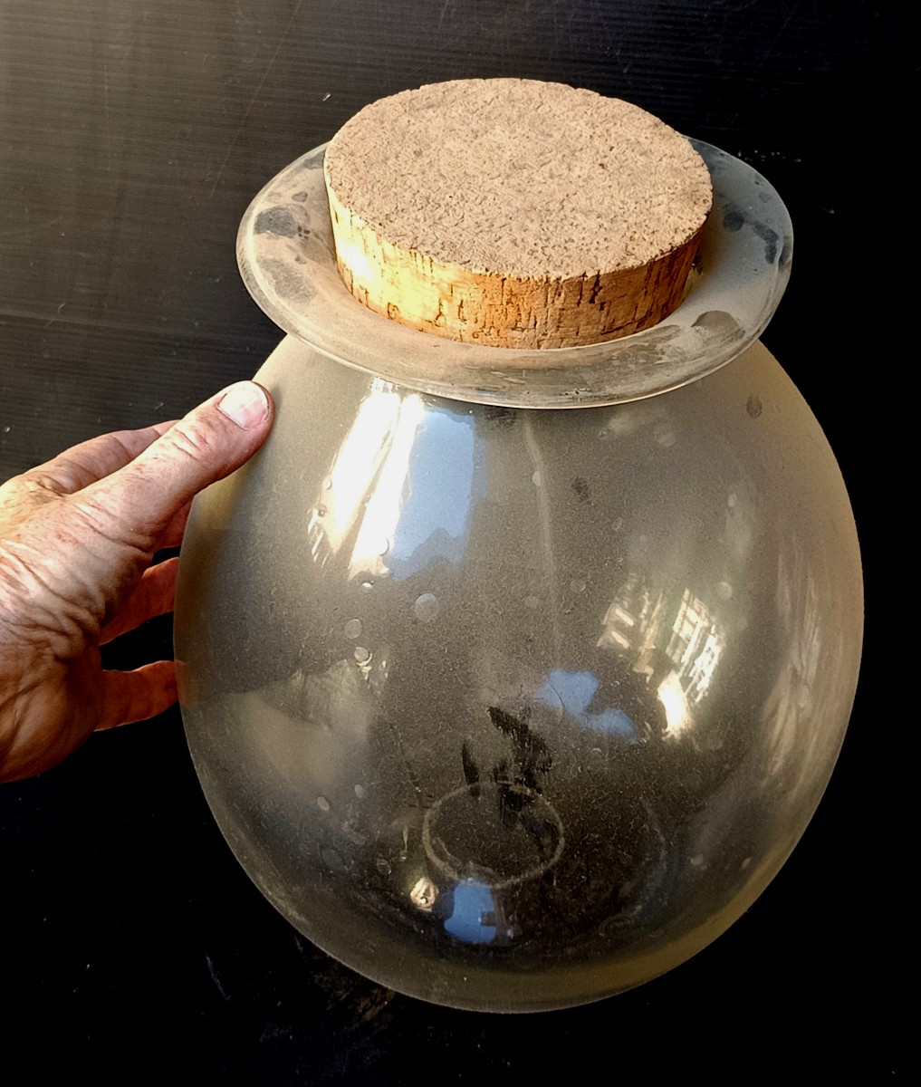 Jolis bocaux de verre soufflé en forme de jarres, 19e siècle, Herboriste, bel état-photo-4