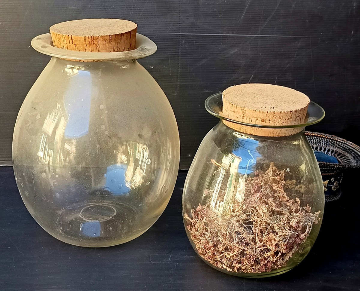 Jolis bocaux de verre soufflé en forme de jarres, 19e siècle, Herboriste, bel état