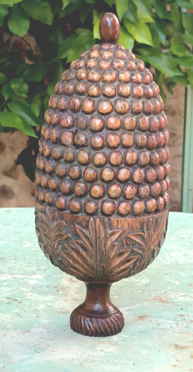 Grande Pomme de Pin Architecturale, bois d’orme sculpté, 19e siècle-photo-4