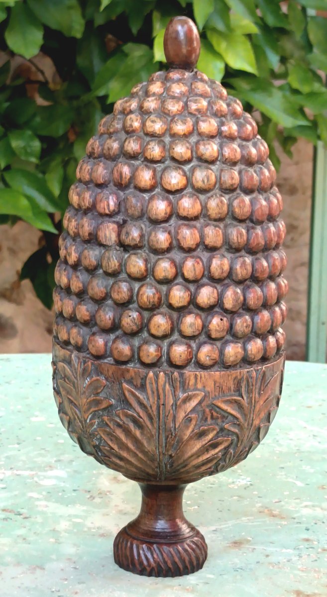 Grande Pomme de Pin Architecturale, bois d’orme sculpté, 19e siècle