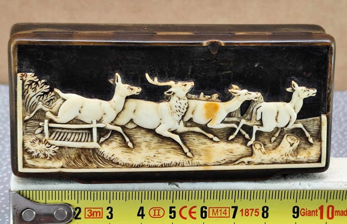 Hunter's Snuffbox Made Of Horn And Antler, 19th Century-photo-4