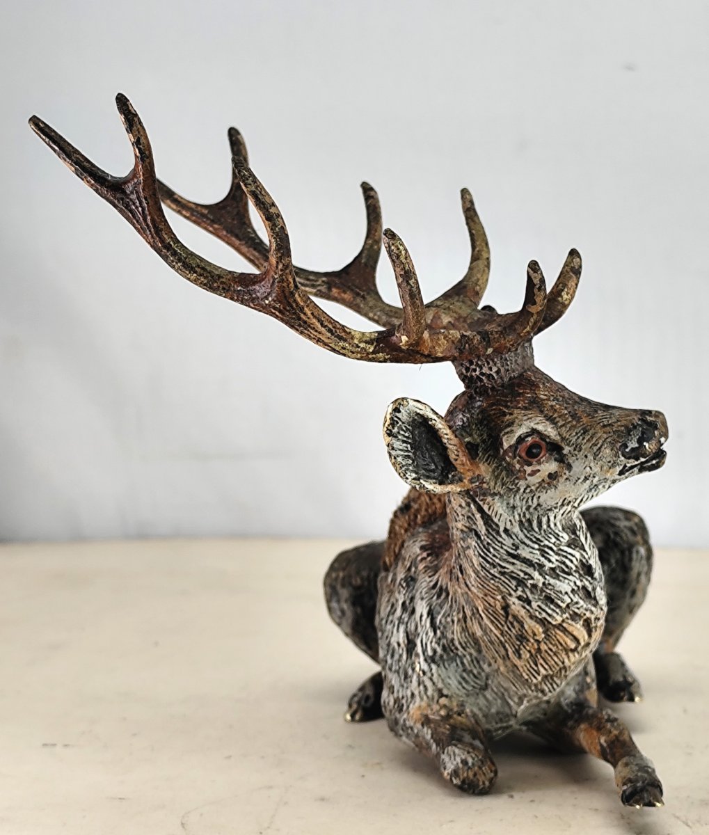 Ten-point Stag,  Feather Cleaner, Vienna Bronze Painted  Natural Colors, 19th Century, -photo-3