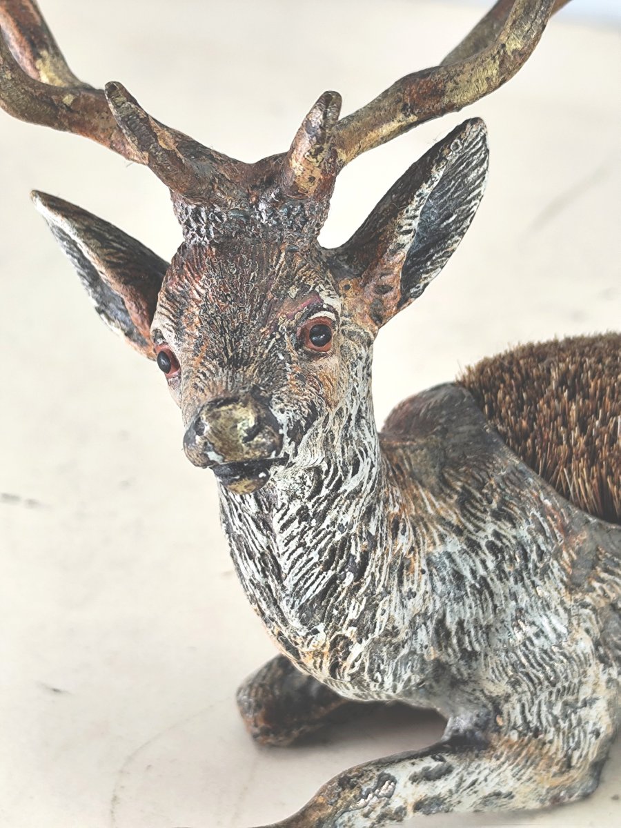 Ten-point Stag,  Feather Cleaner, Vienna Bronze Painted  Natural Colors, 19th Century, -photo-4