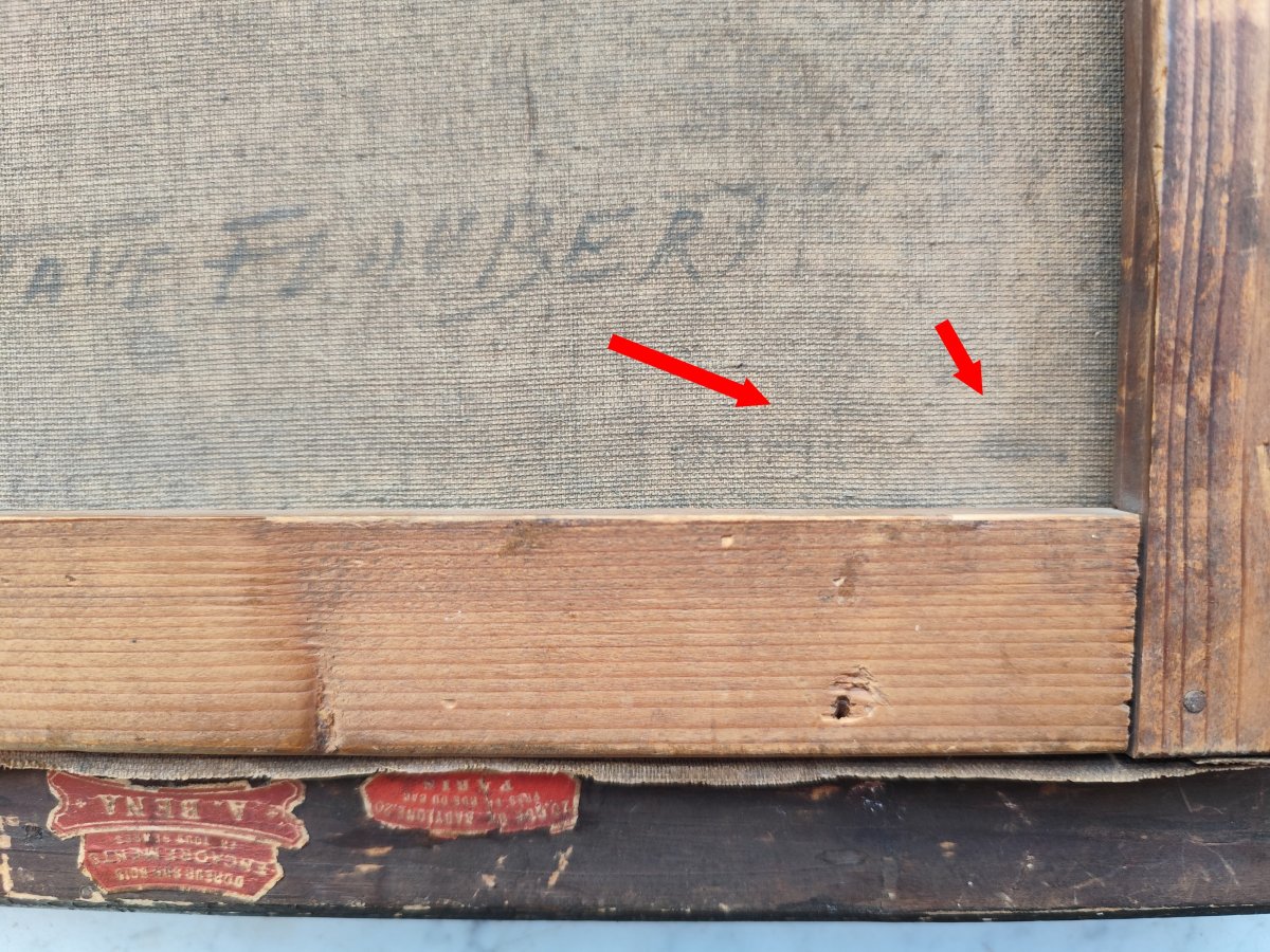 Un portrait donné à Gustave Flaubert par un ami anonyme . -photo-4