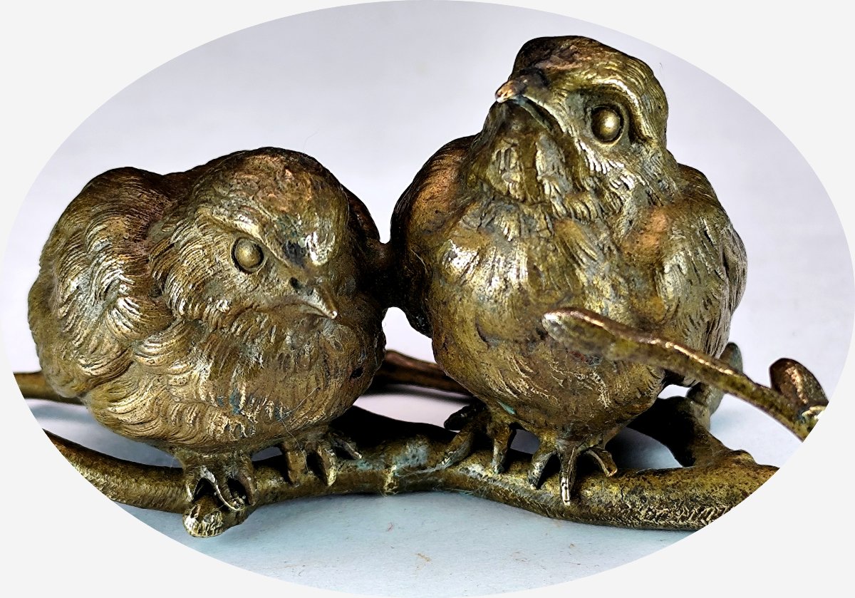 Petits moineaux blottis, bronze de Vienne animalier vers 1900, -photo-3