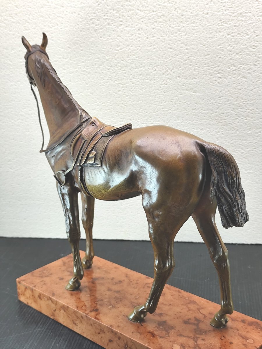 Large Bronze Riding Horse From Vienna, Patinated And Marked, Late 19th Century. In Excellent Condition.-photo-2