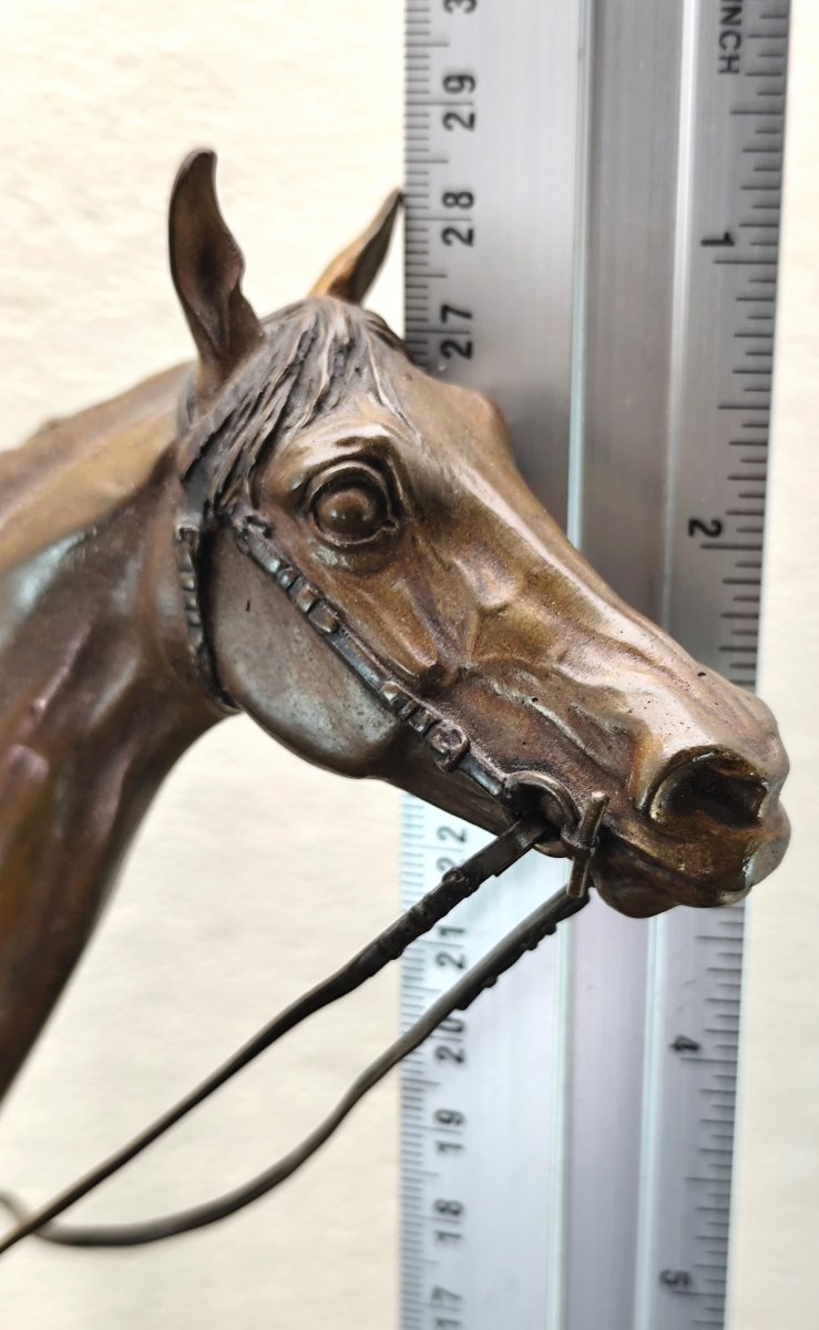 Large Bronze Riding Horse From Vienna, Patinated And Marked, Late 19th Century. In Excellent Condition.-photo-1