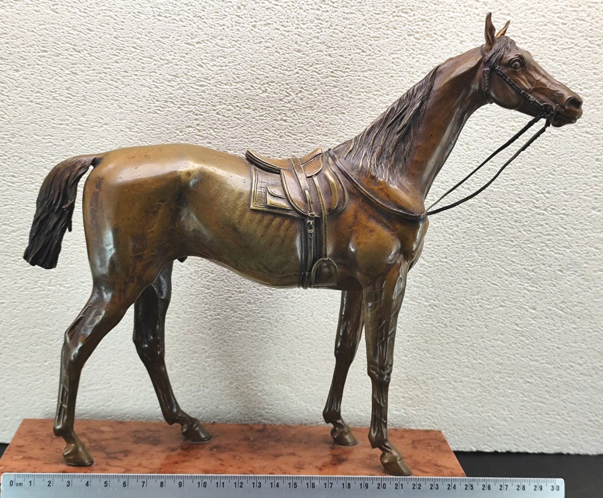 Large Bronze Riding Horse From Vienna, Patinated And Marked, Late 19th Century. In Excellent Condition.-photo-2