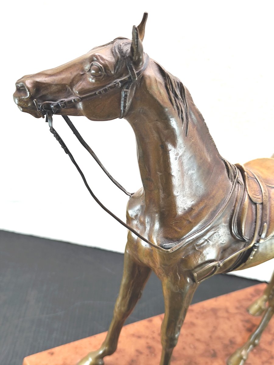 Large Bronze Riding Horse From Vienna, Patinated And Marked, Late 19th Century. In Excellent Condition.-photo-3