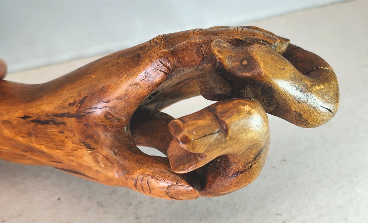 La main aux serpents, art inspiré, populaire, dans un bois tourmenté-photo-4