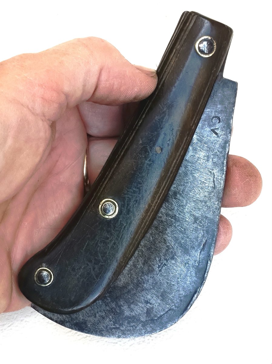 Large Winegrower's Or Gardener's Knife, 18th Century, Horn Handle, Steel Blade With Hallmark-photo-2
