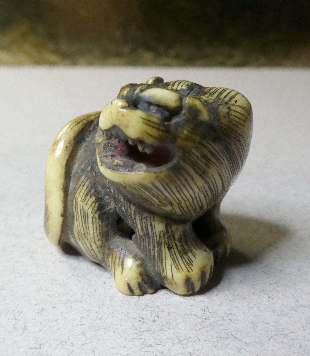 Animal Netsuke, Carved Bone: Guard Lion Dog, Japan - Circa 1900-photo-2