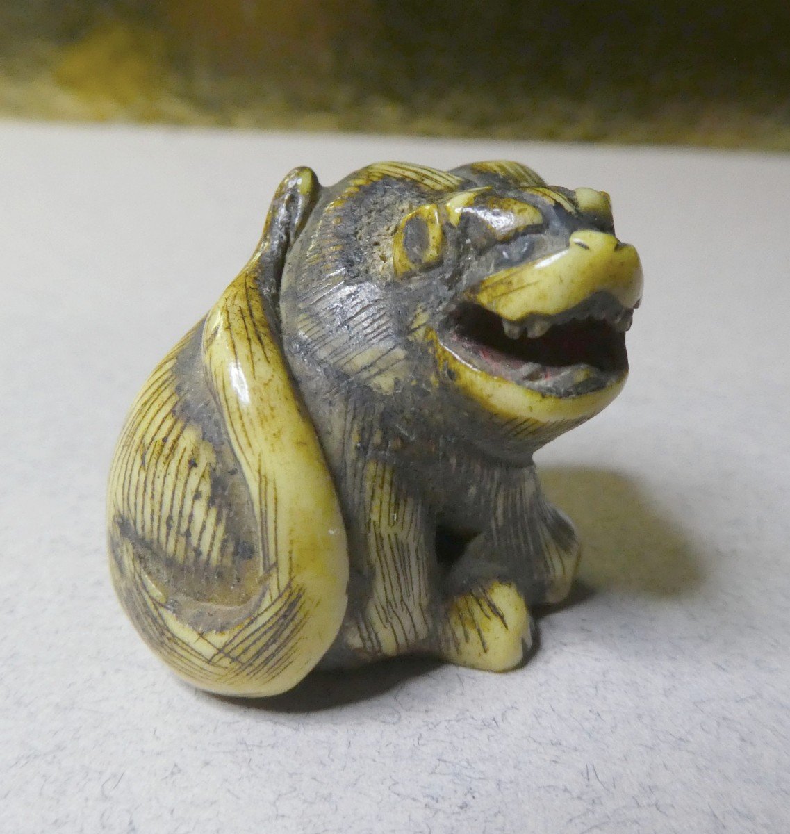 Animal Netsuke, Carved Bone: Guard Lion Dog, Japan - Circa 1900-photo-3