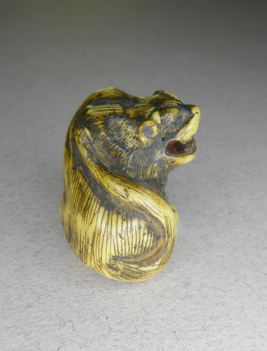 Animal Netsuke, Carved Bone: Guard Lion Dog, Japan - Circa 1900-photo-3