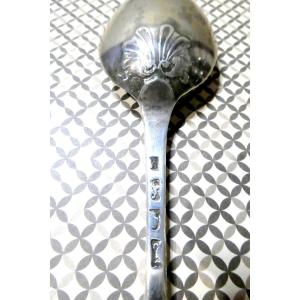 Georgian Marrow Spoon, Chiseled Shell, London, 1766, Chawner Frères