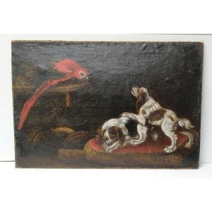 Reynaud Levieux: Parrot And Dogs: His Featured Canvas, Poor Condition, 17th Century