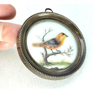 Pretty Feathered Miniature Under Glass, Portrait Of A Bird Circa 1830