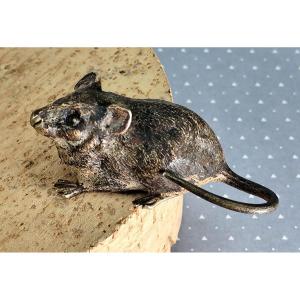 Small Mouse Vienna Bronze, Marked (geschutzt), 19th Century