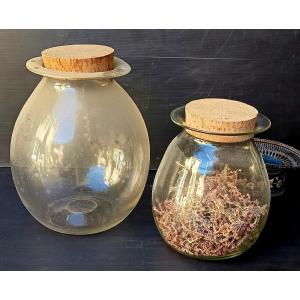 Jolis bocaux de verre soufflé en forme de jarres, 19e siècle, Herboriste, bel état