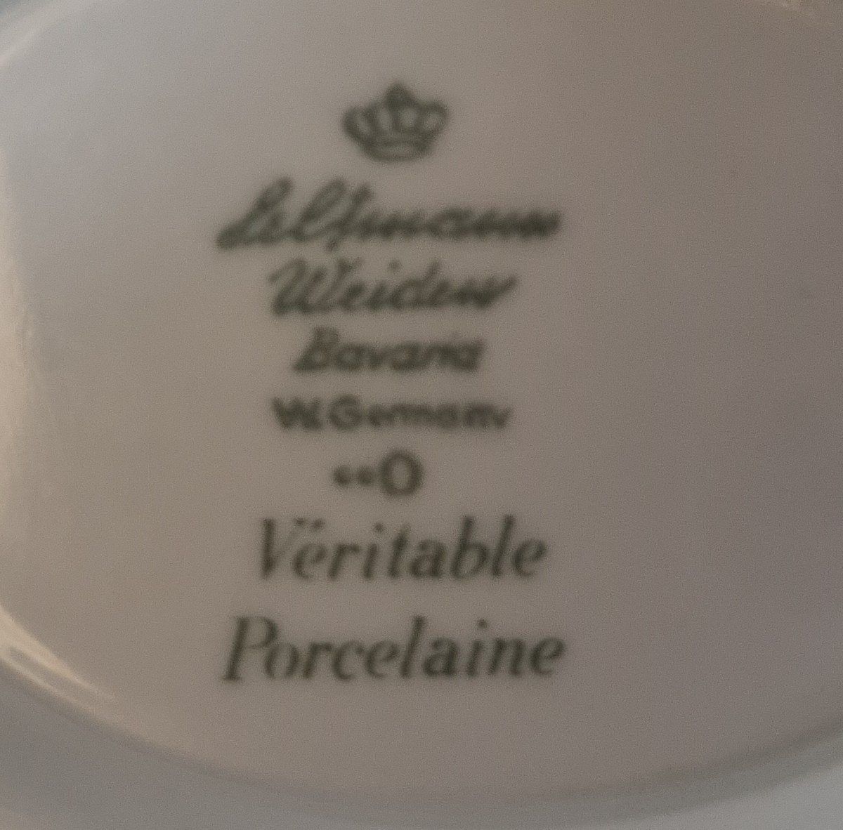 Service De Table En Porcelaine Décor Naturaliste -photo-4