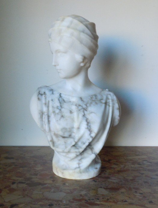 Marble And Alabaster Bust By Pugi
