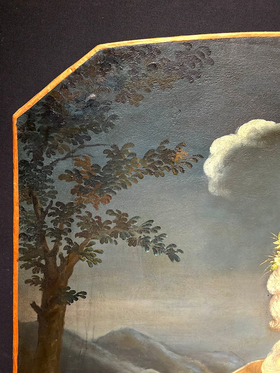 Important Portrait Of A Woman, Allegory Of Summer, 18th Century. (144cm X 114).-photo-3