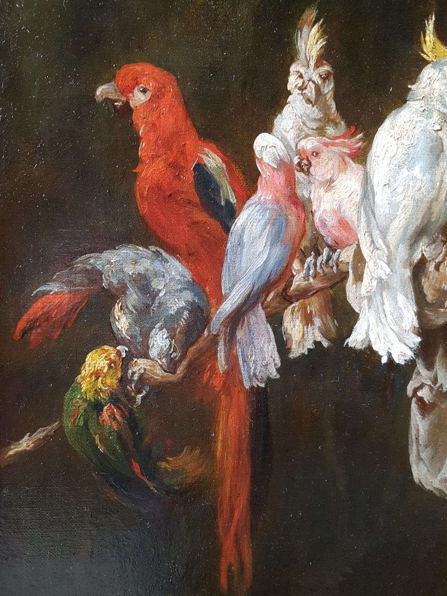 Tableau Homme Aux Perroquets, École Française XIXème. (97cm X 73cm)-photo-6