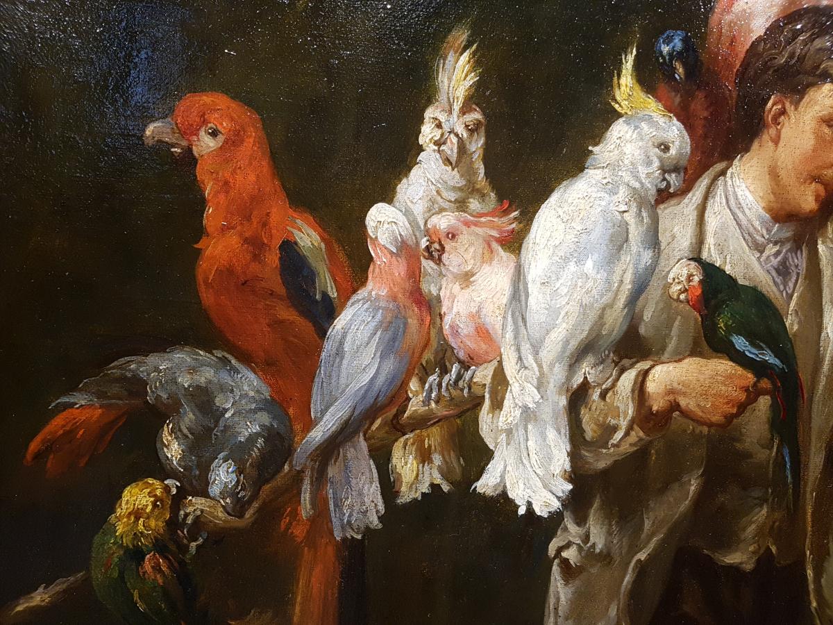 Tableau Homme Aux Perroquets, École Française XIXème. (97cm X 73cm)-photo-7
