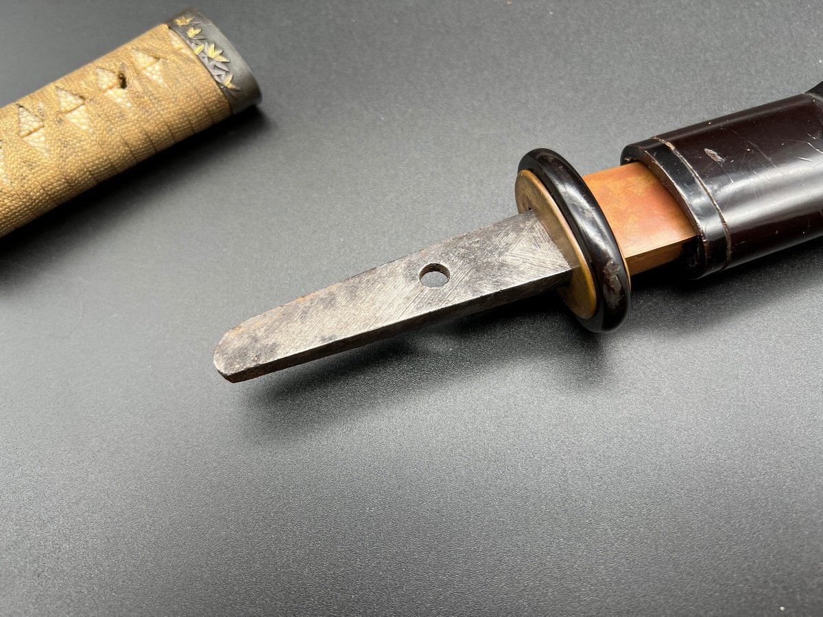 Japanese Tanto -photo-5