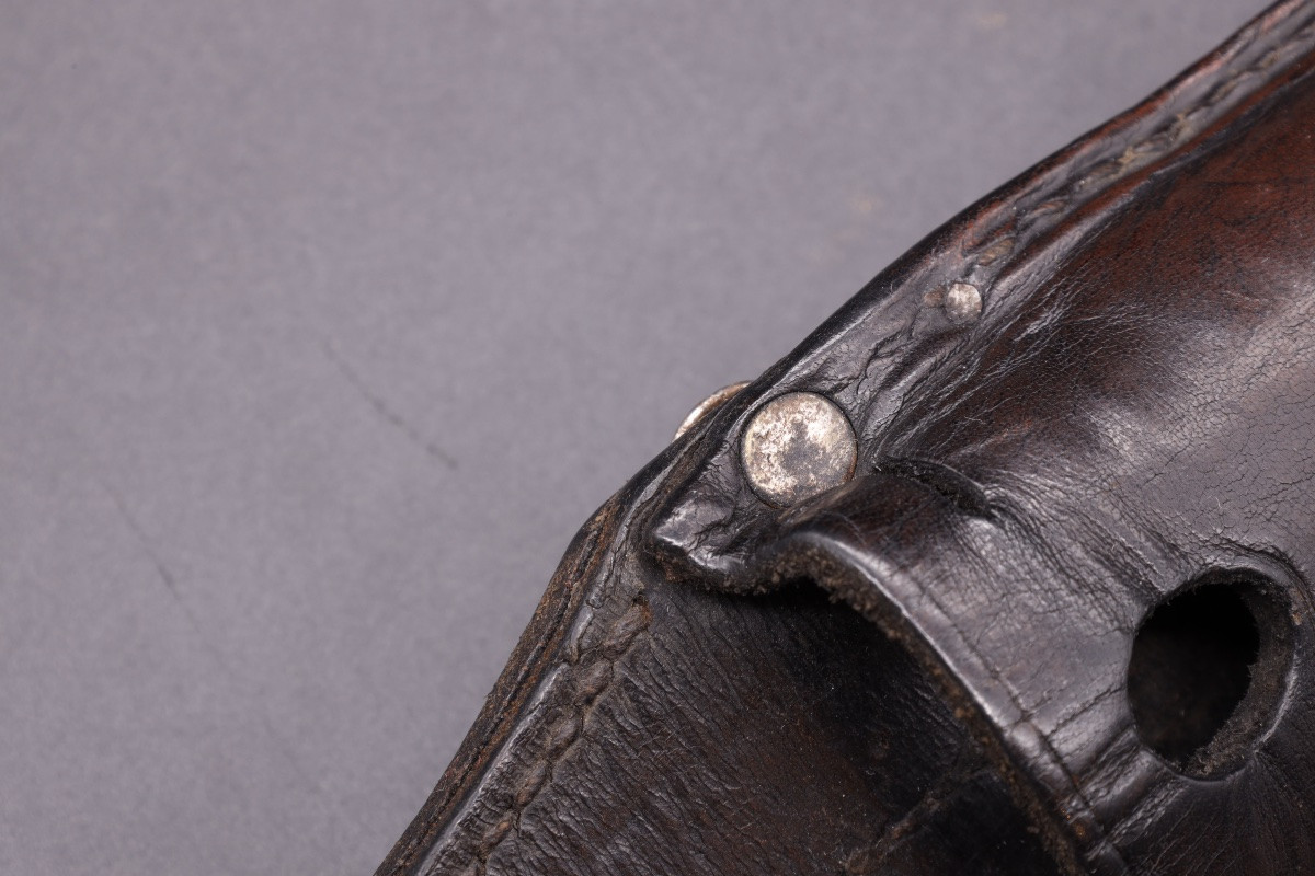 Rare grenouille SA Feldherrnhalle transformée NPEA-photo-1