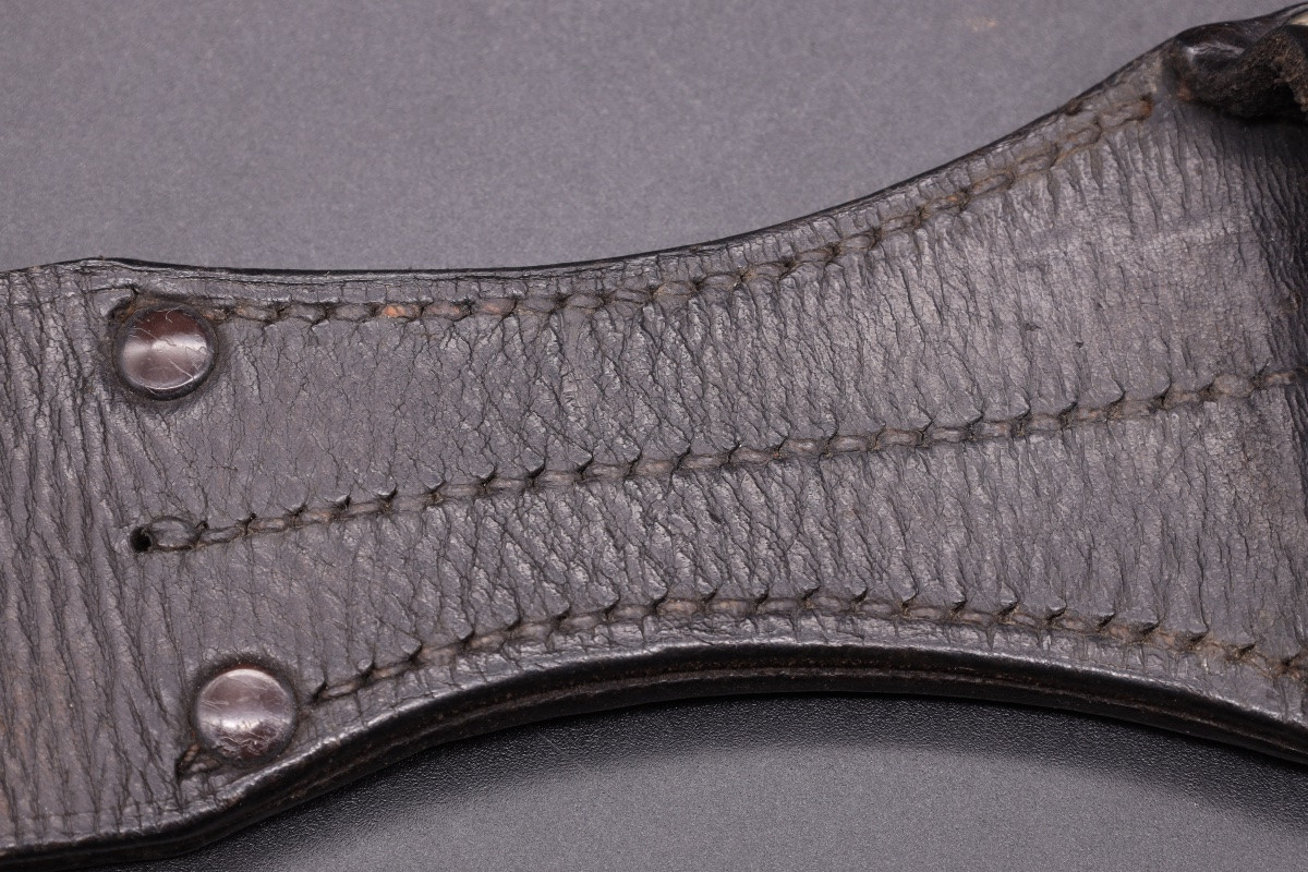 Rare grenouille SA Feldherrnhalle transformée NPEA-photo-3