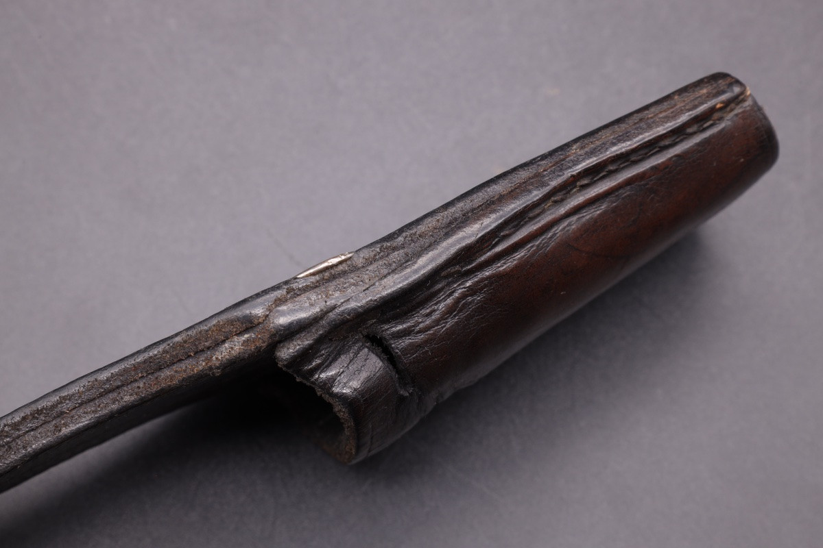 Rare grenouille SA Feldherrnhalle transformée NPEA-photo-5