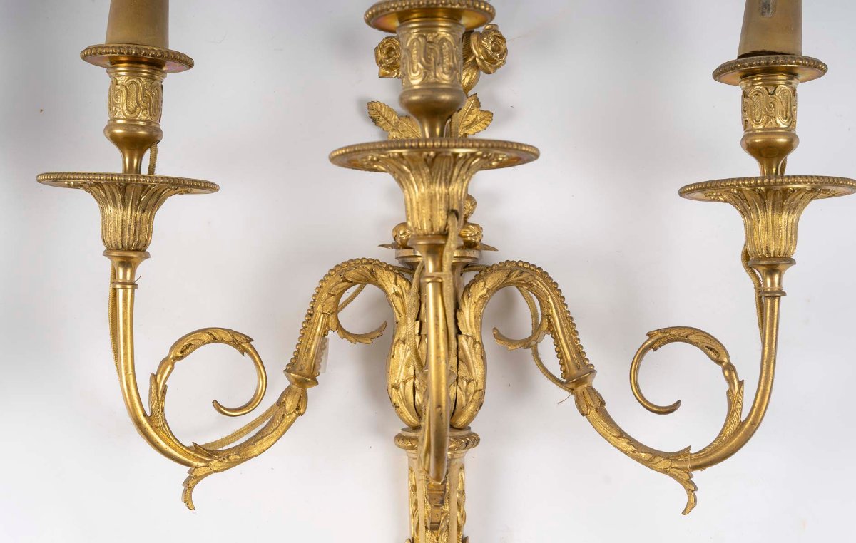 Paire d’appliques de style Louis XVI en bronze ciselé et doré, du XIXème -photo-3