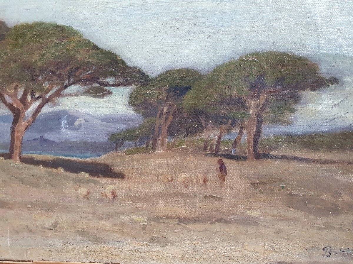 Paysage Aux Arbres Nice 1907 Badin ?-photo-3