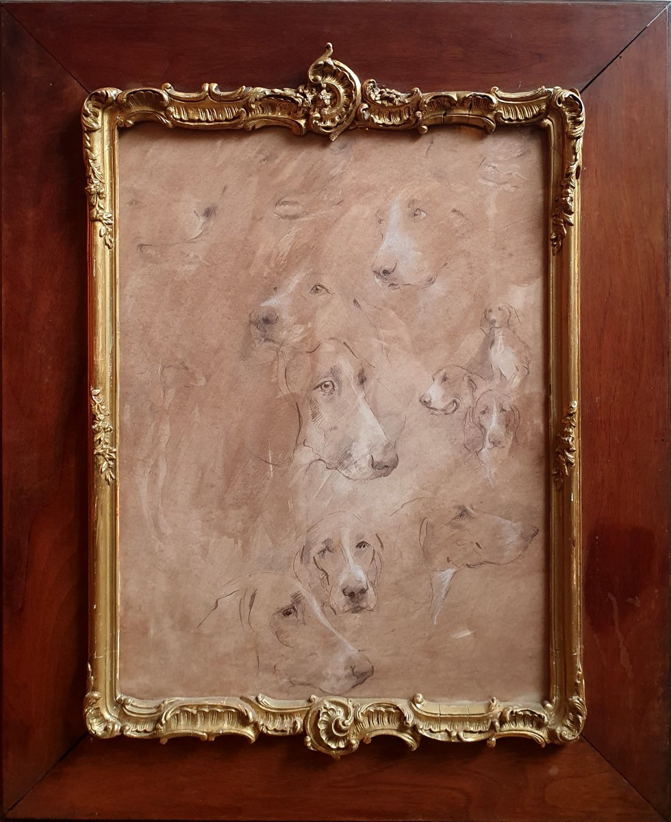 Étude de têtes de chiens dessin fin XXème chasse  braque décoration -photo-2
