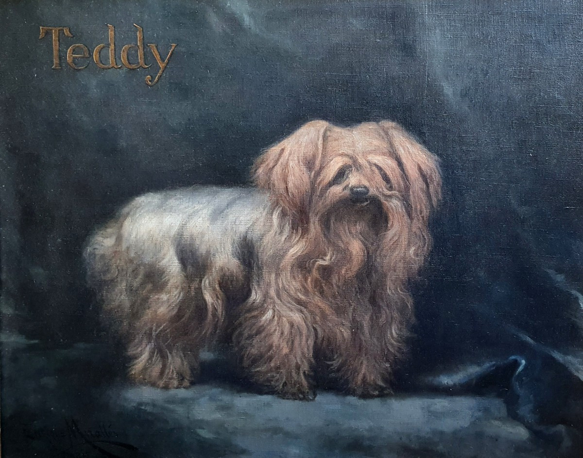 Enrique Miralles Darmanin Portrait YorkshireTeddy chie huile toile 1921 Peintre espagnol Paris -photo-2