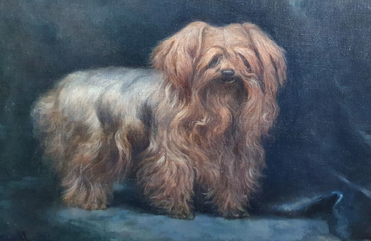 Enrique Miralles Darmanin Portrait YorkshireTeddy chie huile toile 1921 Peintre espagnol Paris -photo-3