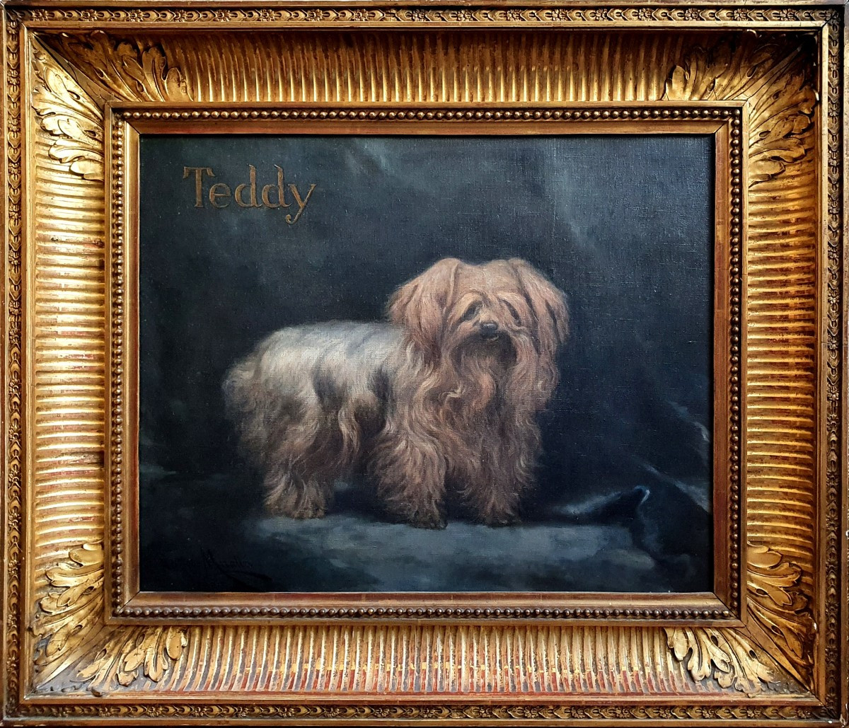 Enrique Miralles Darmanin Portrait YorkshireTeddy chie huile toile 1921 Peintre espagnol Paris 