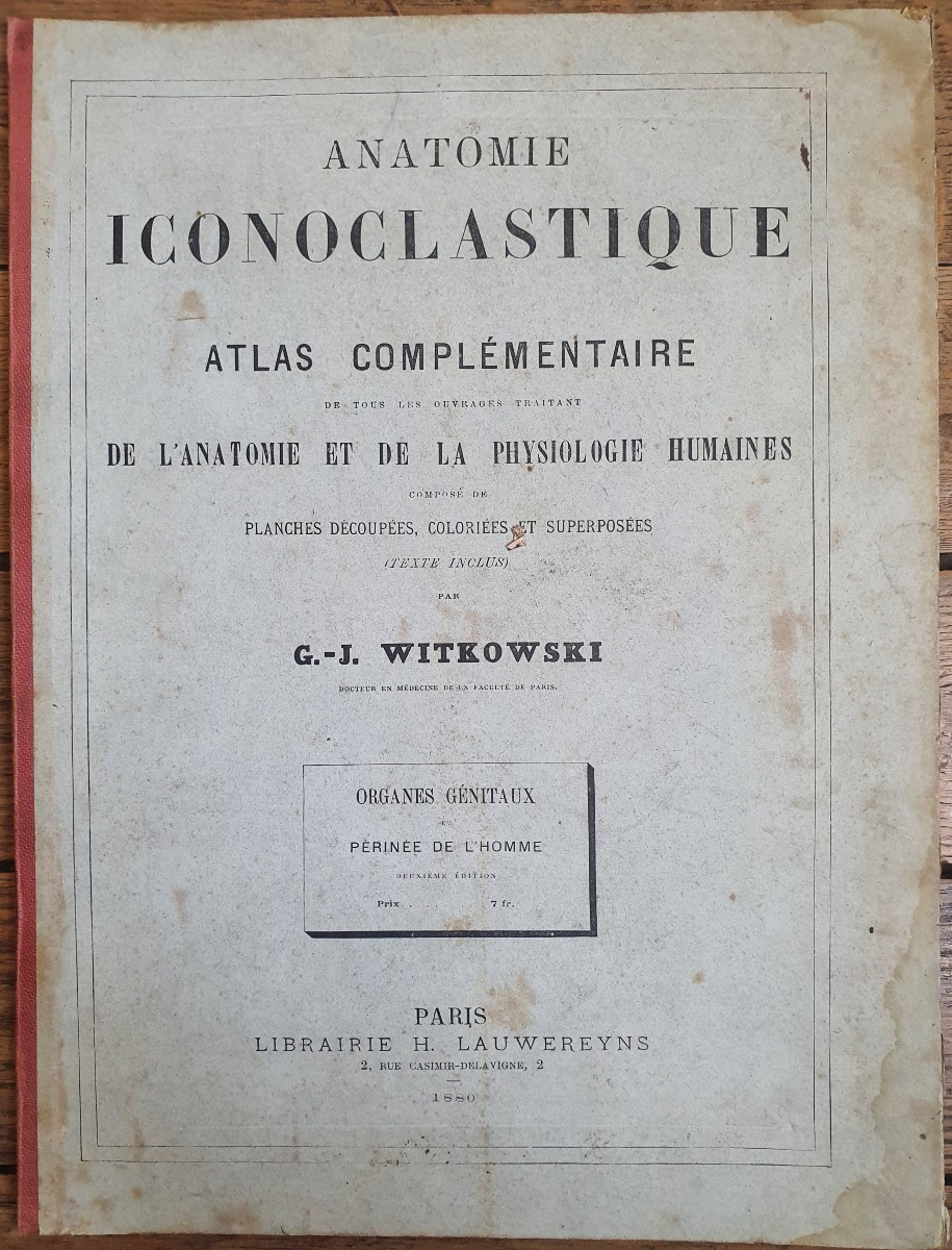 Human Perineum Gustave Joseph Witkowski Genital Organs Typography Anatomy Curiosity-photo-2