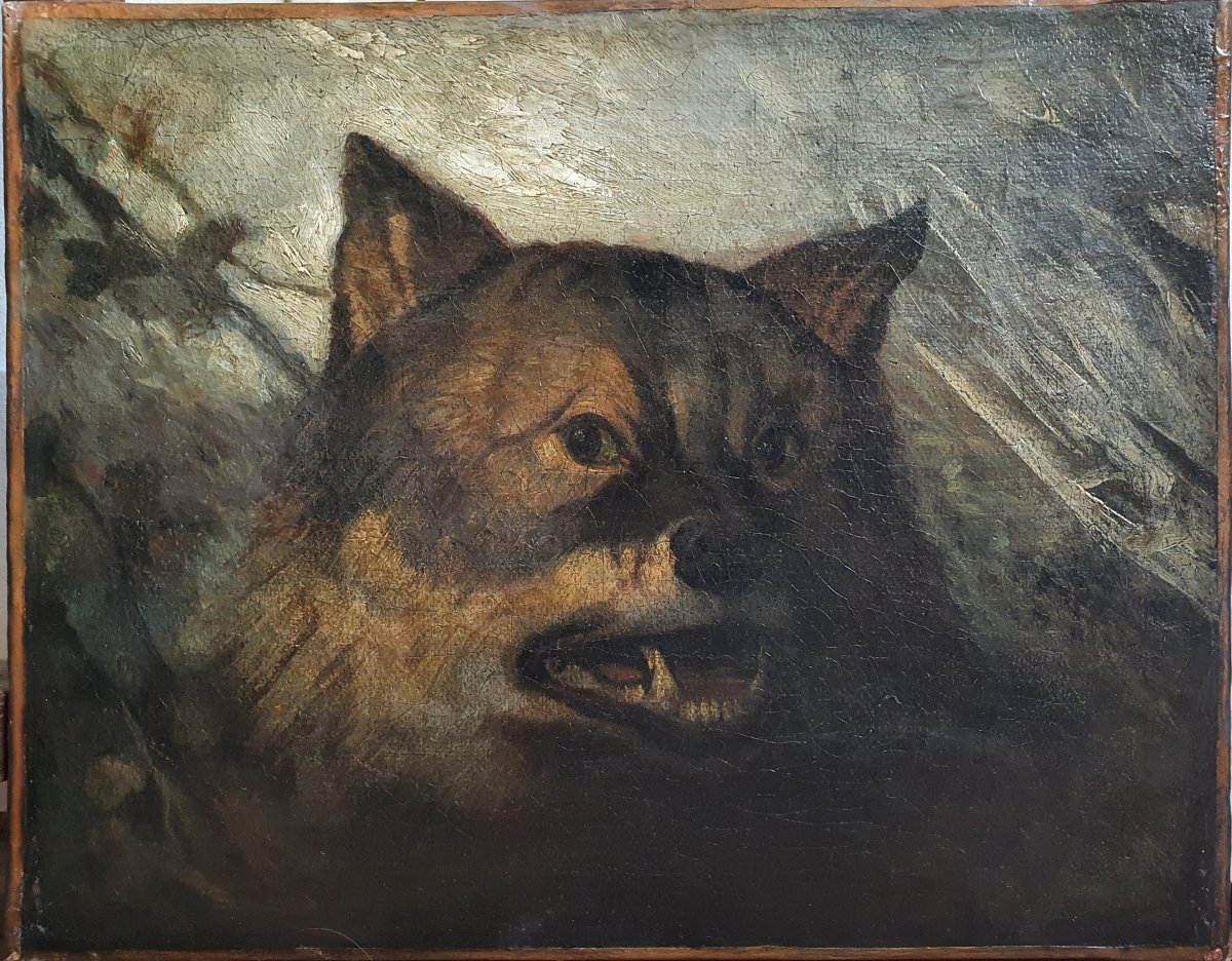 Ecome française du XIXème siècle Esquisse de tête de loup huile sur toile-photo-2