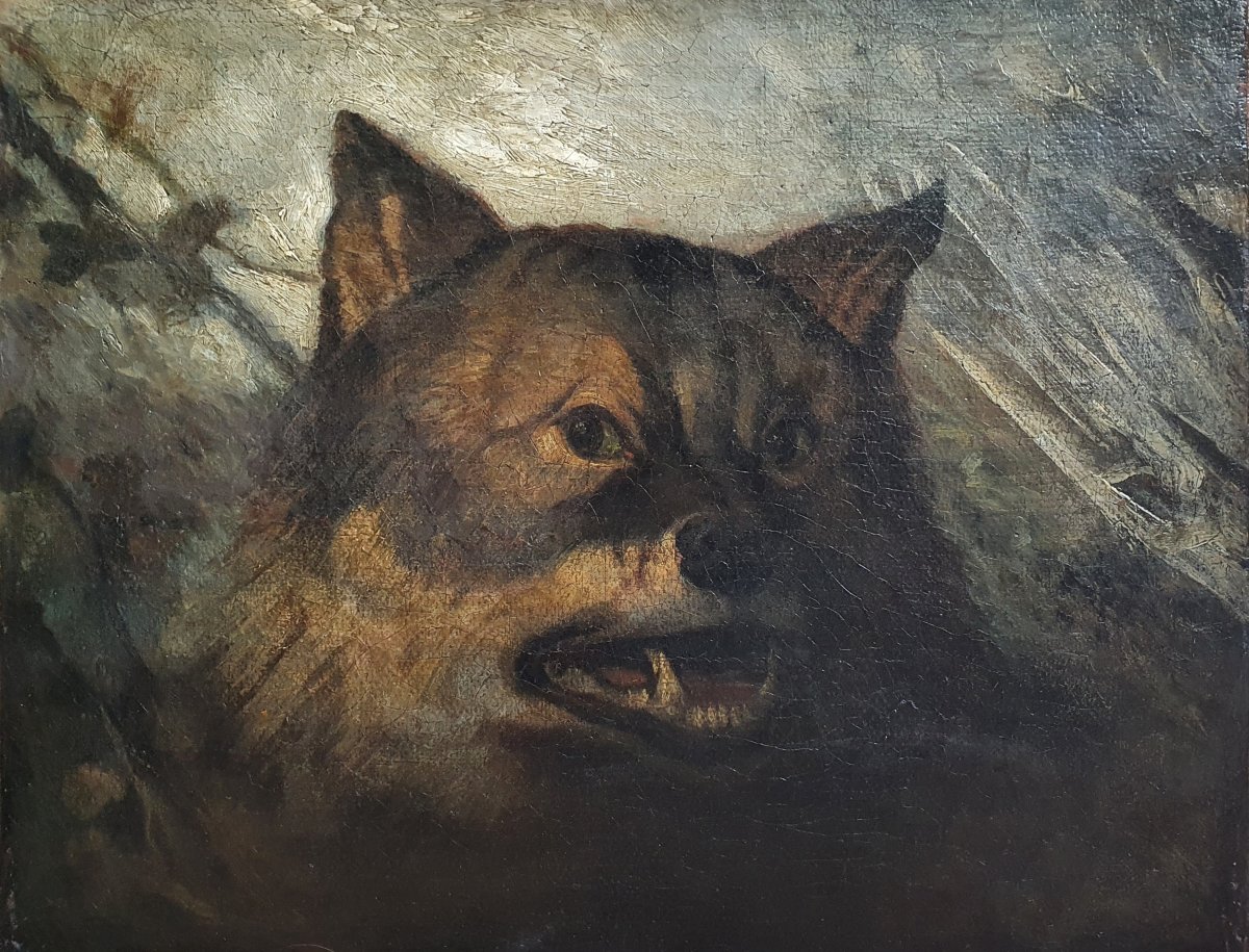 Ecome française du XIXème siècle Esquisse de tête de loup huile sur toile
