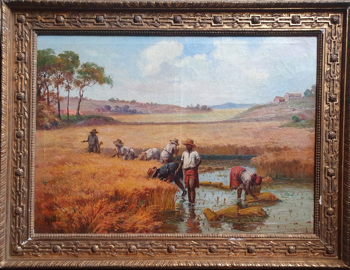 Henri Ratova La cueillette du riz à Madagascar huile sur toile vers 1910 malgache-photo-2