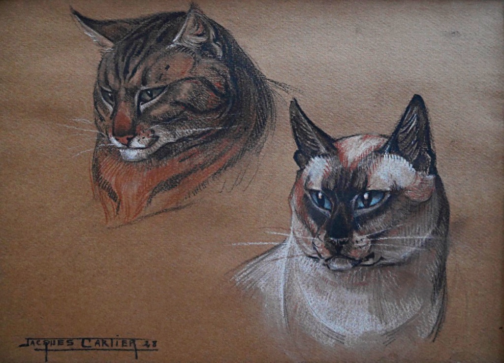 Jacques Cartier (1907-2007) Cats Charcoal On Paper 1948