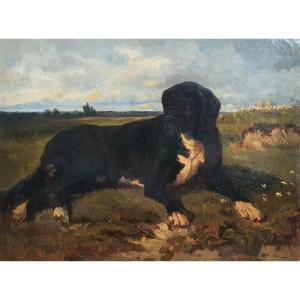 Julien Deschamps Portrait De Chien De Berger Huile Sur Toile 