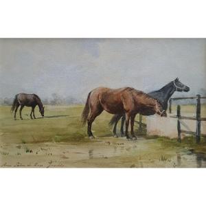 Anna Palm De Rosa The Horses At Haras De Jardy Watercolor On Paper Circa 1910