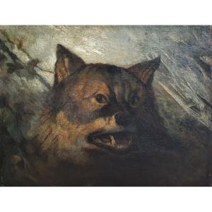 19th-century French Ecomme: Sketch Of A Wolf's Head, Oil On Canvas