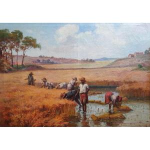 Henri Ratova La cueillette du riz à Madagascar huile sur toile vers 1910 malgache