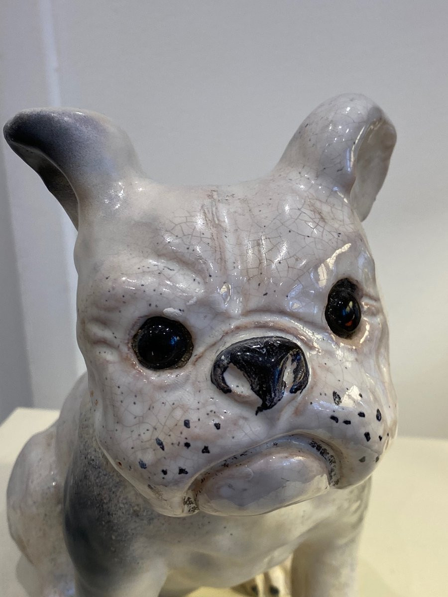 Bavent, French Bulldog -photo-2